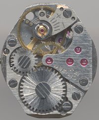 : Citizen 0153