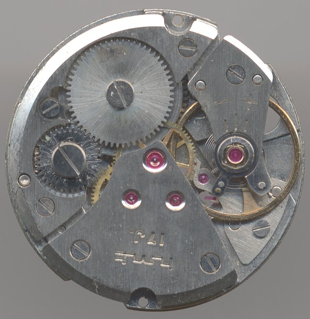 Hmt watches automatic best sale
