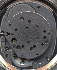 Timex M25 : Timex M25