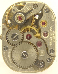 : Universal 501