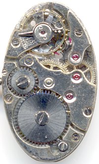 : Venus 52